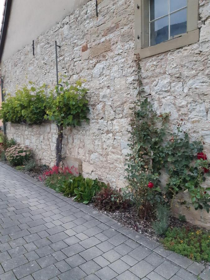 Fewo Koerner Seinsheim Im Weinparadies Esterno foto